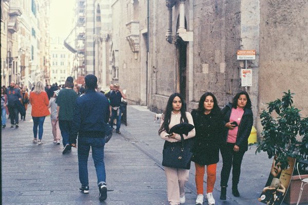 What Are the Most Popular Breeds of Pets in the UK?